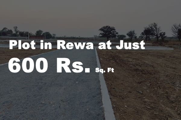 Plots in Rewa 600 Rs. Sq. Ft.