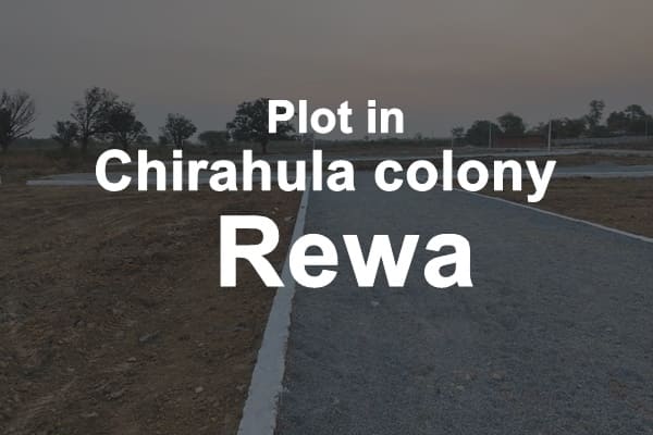 Plot in Chirahula Colony Rewa