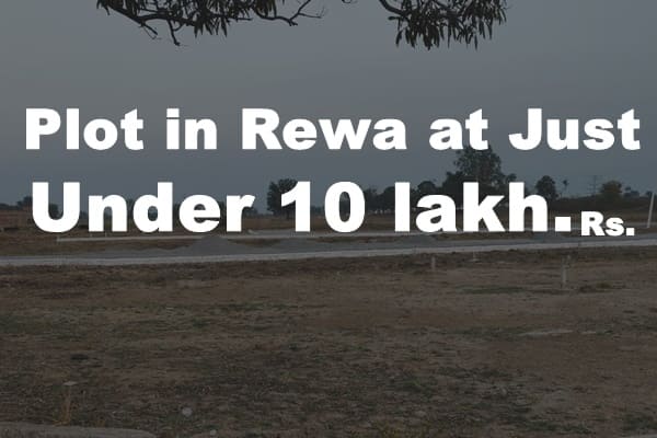 Plot in Rewa 10 lakh Rs.