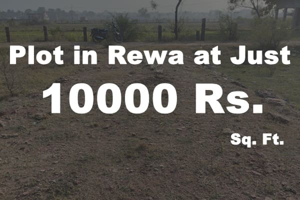 Plots in Rewa 10000 Rs. Sq. Ft.