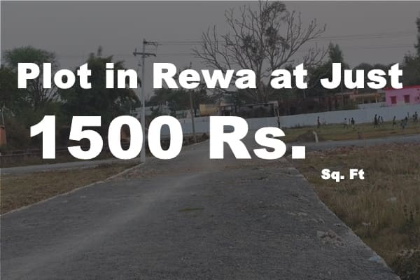 Plots in Rewa 1500 Rs. Sq. Ft.