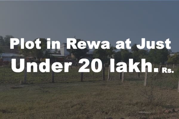 Plot in Rewa 20 lakh Rs.