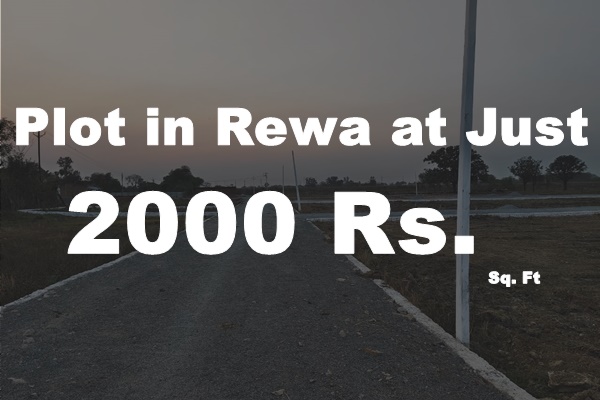 Plots in Rewa 2000 Rs. Sq. Ft.