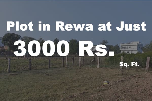 Plots in Rewa 3000 Rs. Sq. Ft.