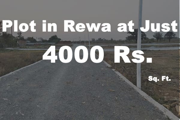 Plots in Rewa 4000 Rs. Sq. Ft.