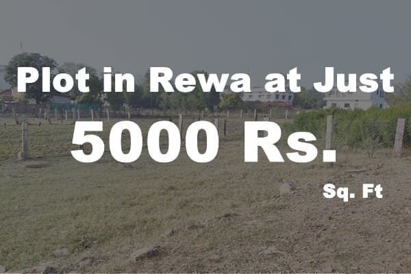 Plots in Rewa 5000 Rs. Sq. Ft.