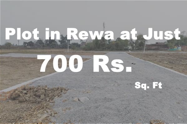 Plots in Rewa 700 Rs. Sq. Ft.