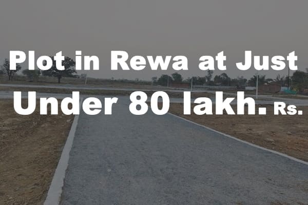 Plot in Rewa 80 lakh Rs.