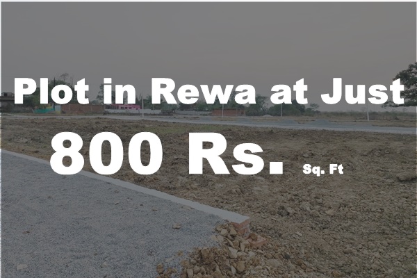 Plots in Rewa 800 Rs. Sq. Ft.