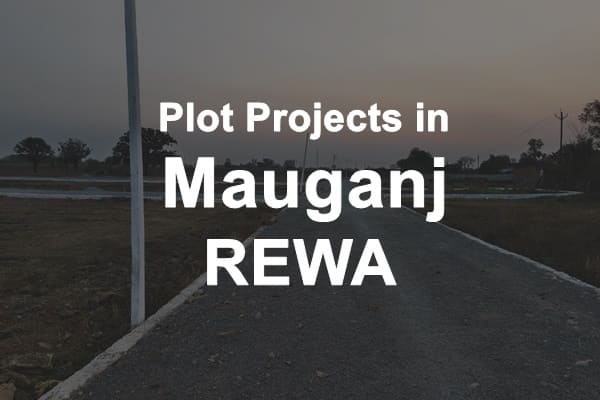 Plot Projects in Mauganj rewa