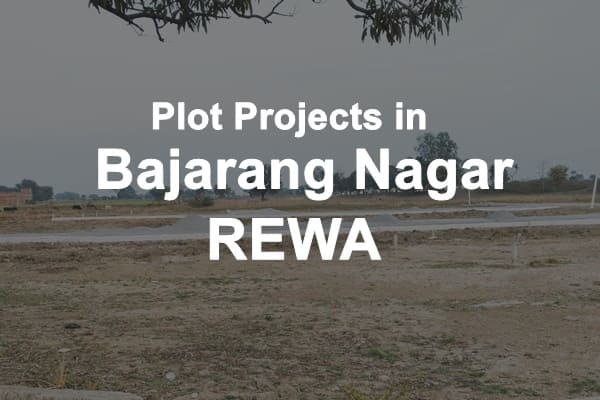 Plot Projects in Bajarang Nagar Rewa