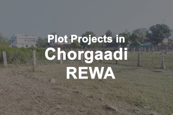 Plot Projects in Chorgaadi Rewa