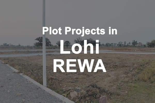 Plot Projects in Lohi Rewa