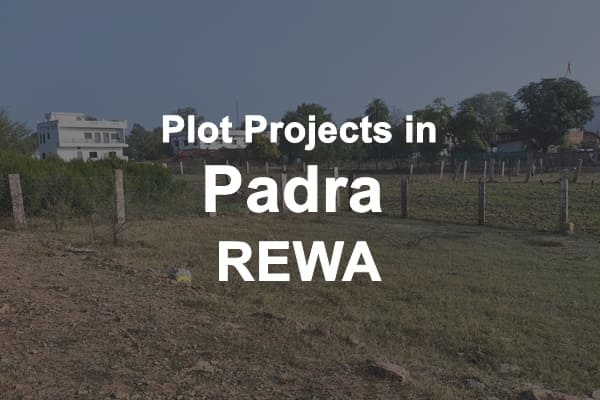 Plot Projects in Padra Rewa