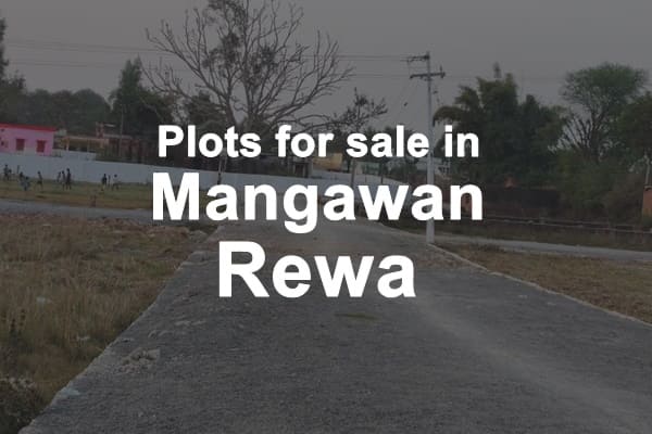 Plots For Sale in Mangawan Rewa