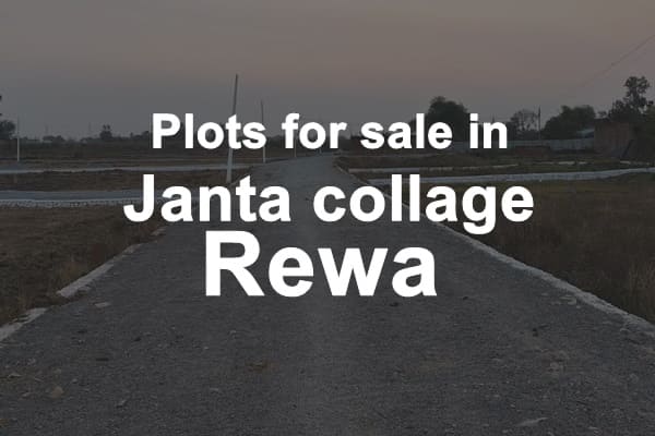 Plots For Sale in Janta Collage Rewa