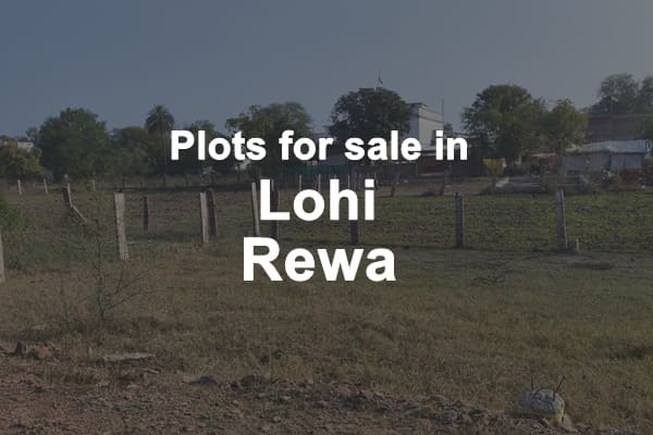 Plots for Sale in Lohi Rewa