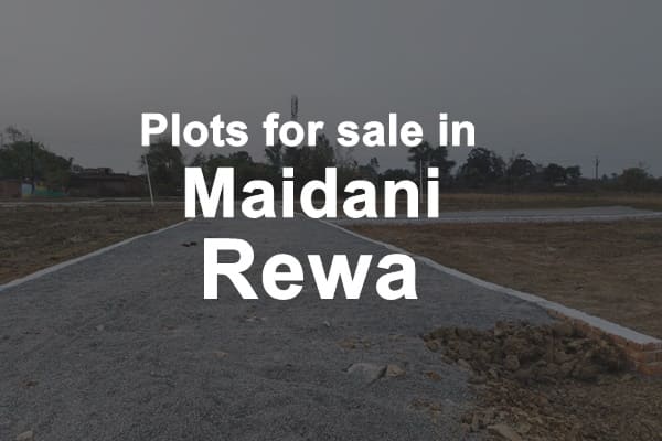 Plots for Sale in Maidani Rewa