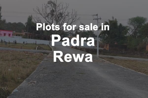 Plots for Sale in Padra Rewa