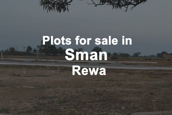 Plots for Sale in Sman Rewa