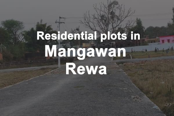 Residential Plots in Mangawan Rewa