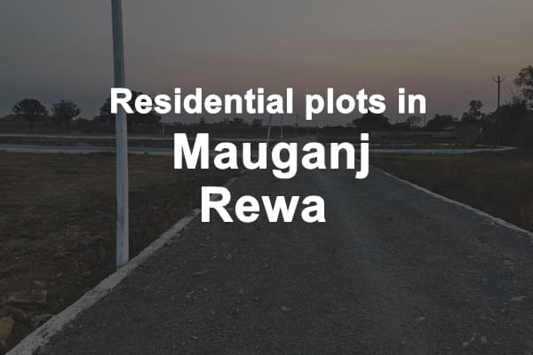 Residential Plots in Mauganj Rewa