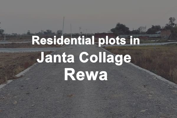 Residential Plots in Janta Collage Rewa