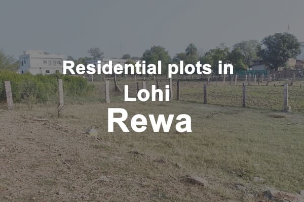 Residential Plots in Lohi Rewa