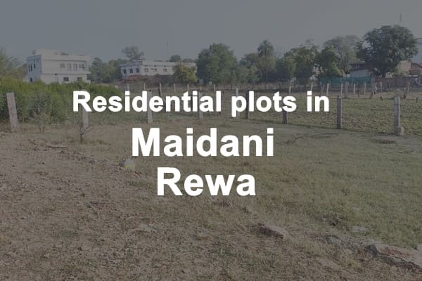 Residential Plots in Maidani Rewa