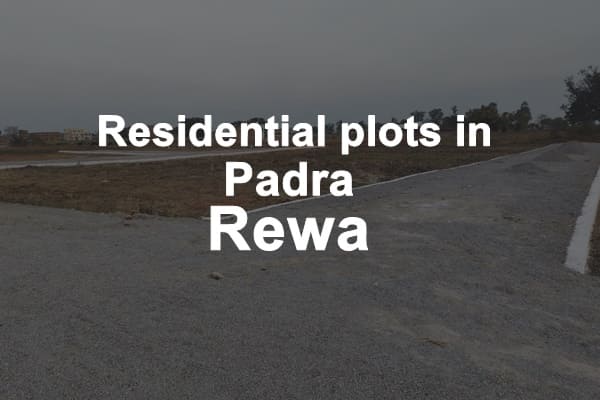 Residential Plots in Padra Rewa