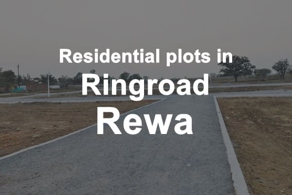 Residential Plots in Ringroad Rewa