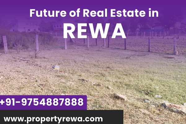 Future of Real Estate in Rewa