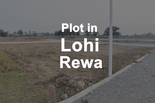 plot in lohi rewa