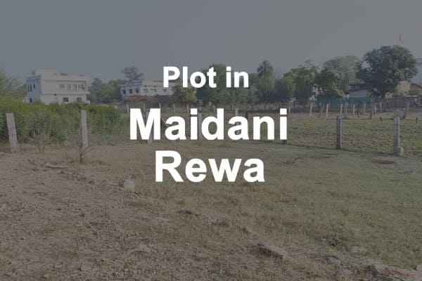 plot in Maidani Rewa