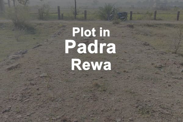 Plot in Padra Rewa