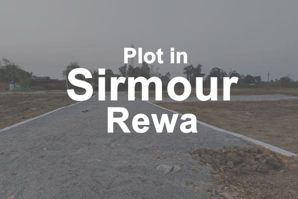 plot in sirmour rewa