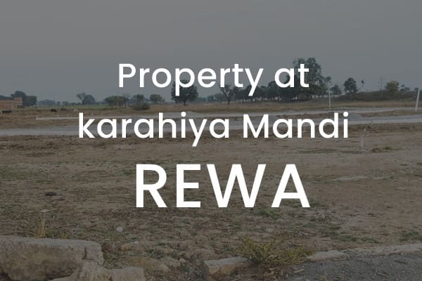 property at karahiya mandi rewa