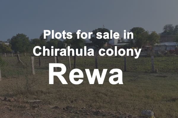 Plots For Sale in Chirahula Colony Rewa