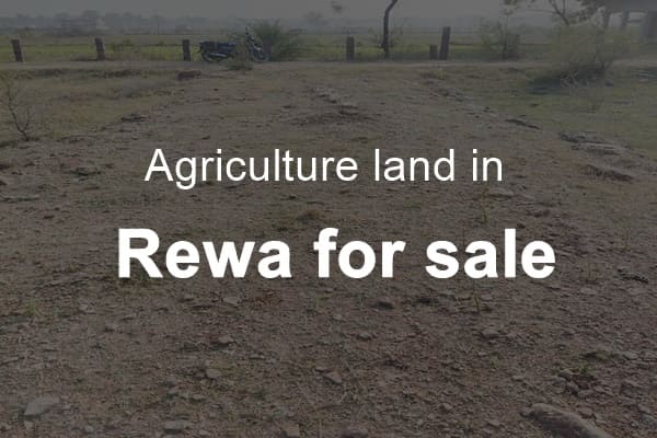 Agriculture land in rewa for sale
