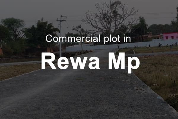 Commercial Plot In Rewa Mp