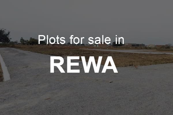 Plots For Sale In Rewa