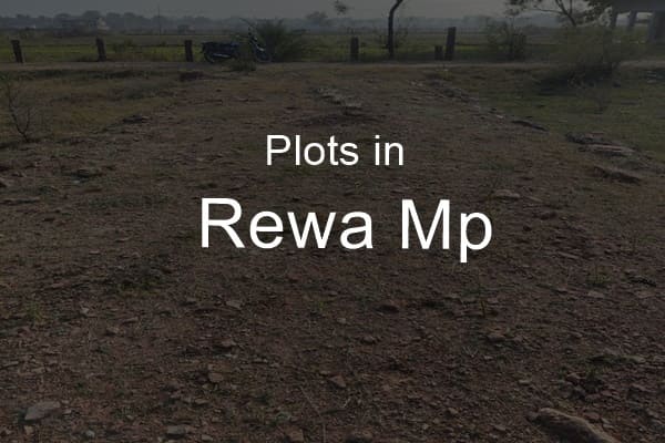 Plots in Rewa Mp