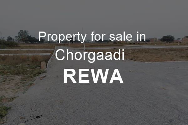 Property for sale in chorgaadi rewa