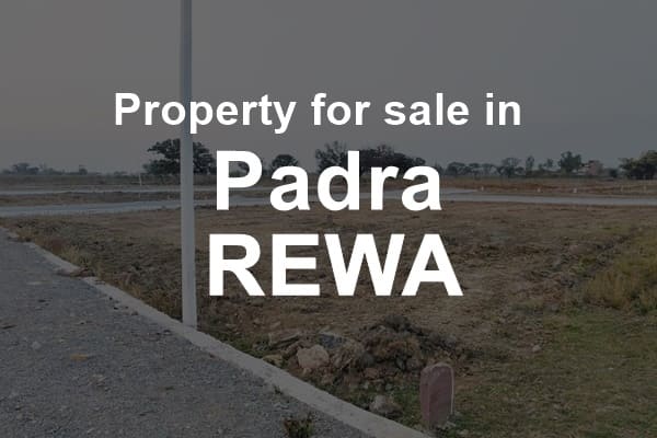 Property for sale in padra rewa