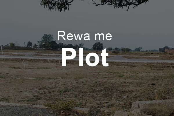 Rewa me plot
