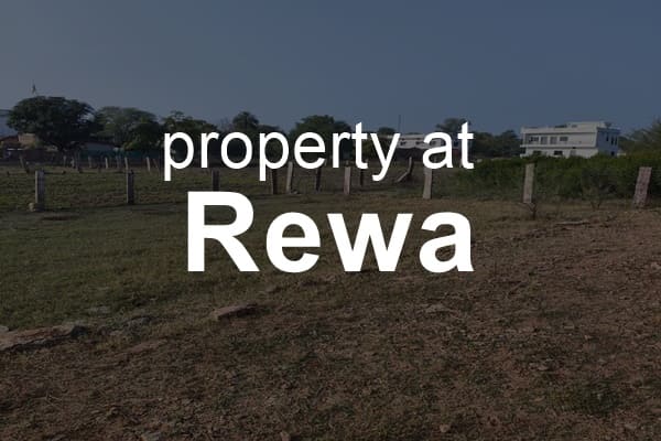 property at rewa